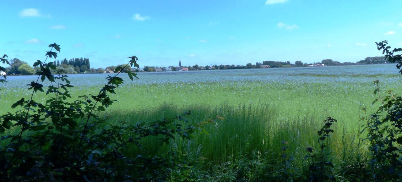 B&B 'T Wit Reigertje Oudenburg Bagian luar foto